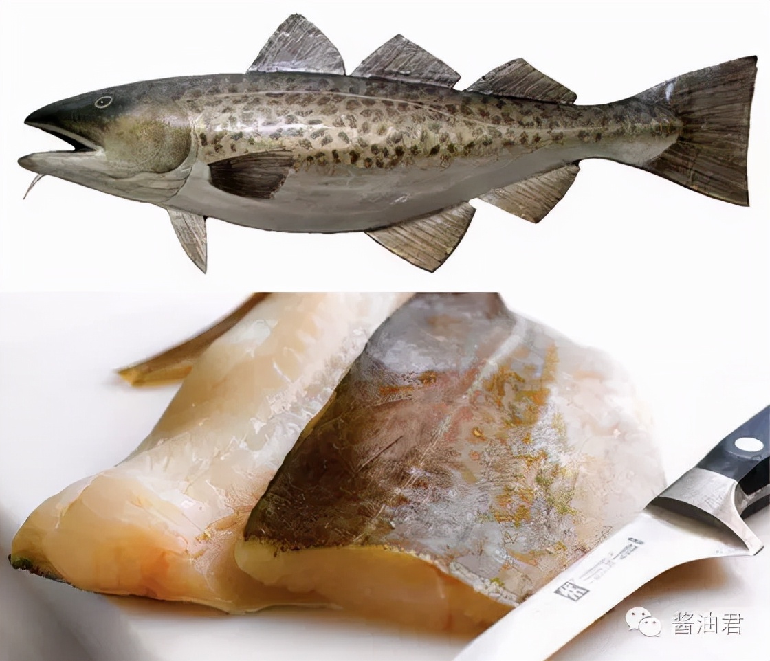 英国超市的鱼类有哪些,英国超市鱼的种类