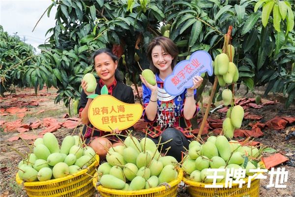 直播带货带的是信任,直播带货为什么那么多人买单