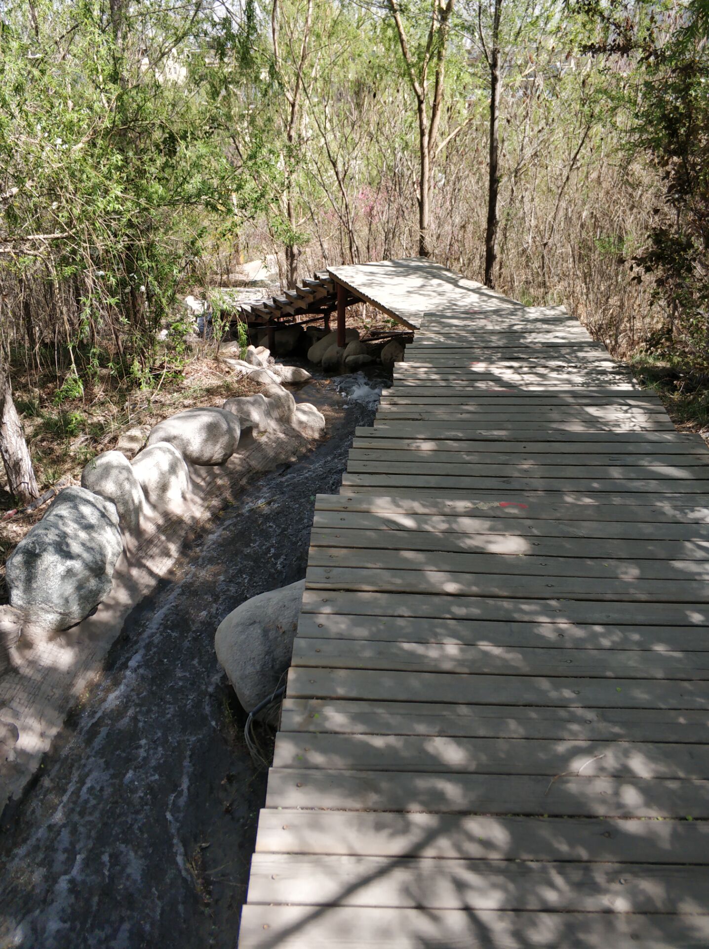 乌鲁木齐居然有这么漂亮的地方,乌鲁木齐周边森林公园在哪里