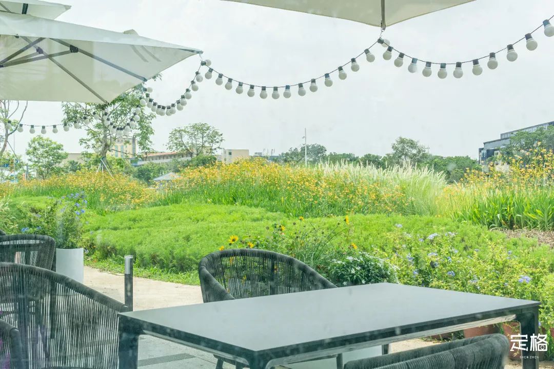 沙井万丰哪里的生蚝好吃,深圳沙井生蚝最出名店