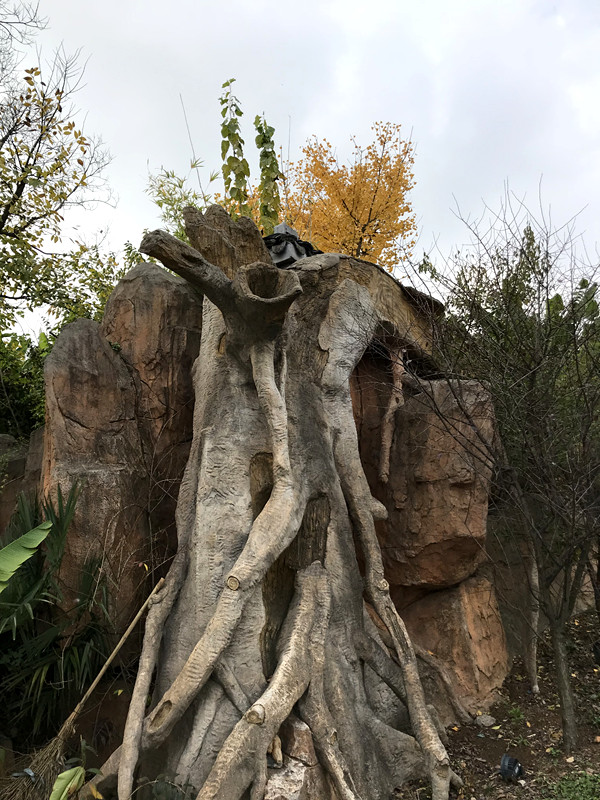 采菊东篱下悠然见南山拙政园,采菊东篱下悠然见南山芒种