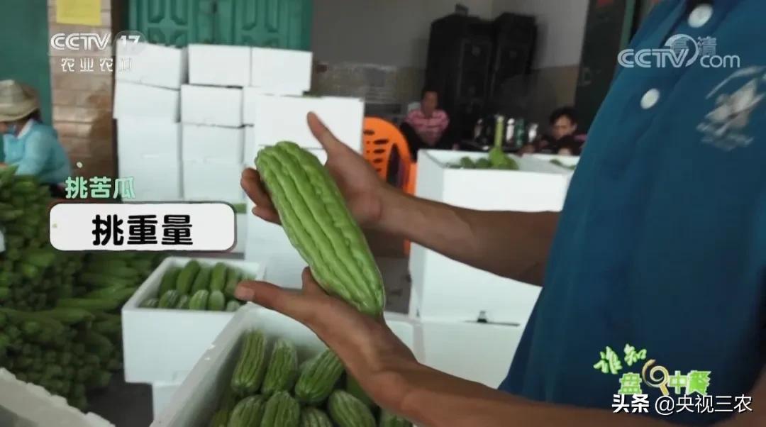 苦尽甘来蜜汁苦瓜做法,苦尽甘来的苦瓜做法