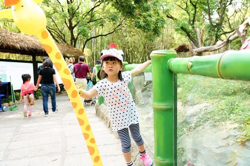 广州旅游攻略长隆动物世界,亲子游广州长隆动物园