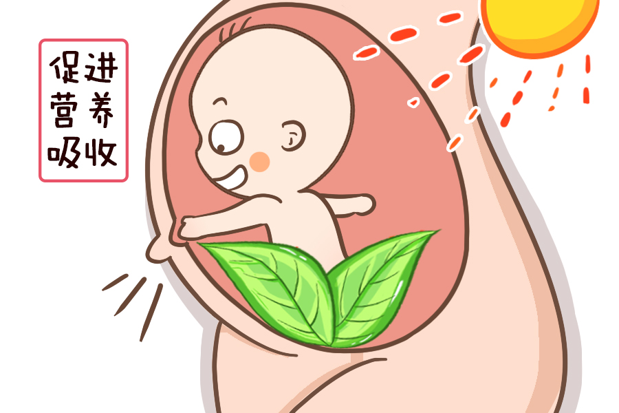 备孕期夫妻双方注意什么,夫妻备孕这五大要点都记住了吗