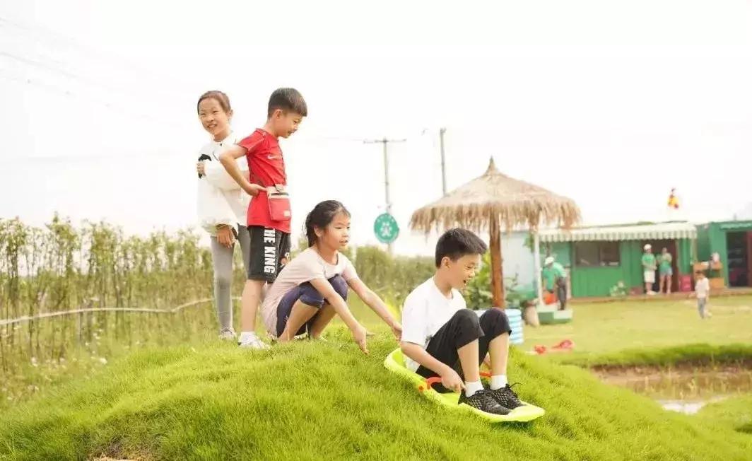 小猪佩奇去露营中英文字幕,小猪佩奇告诉了我们什么道理