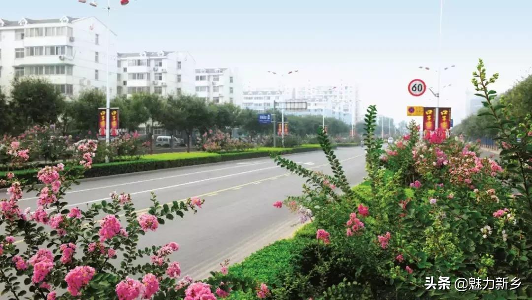 新乡故事完整版,新乡故事