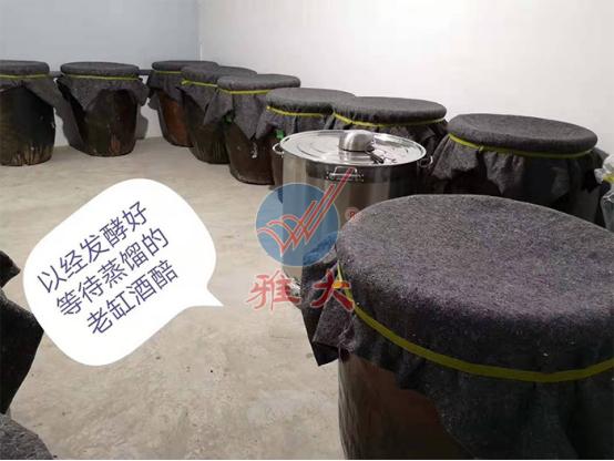 自酿白酒100斤粮食放多少酒曲,尝试用不同酒曲发酵同一批粮食