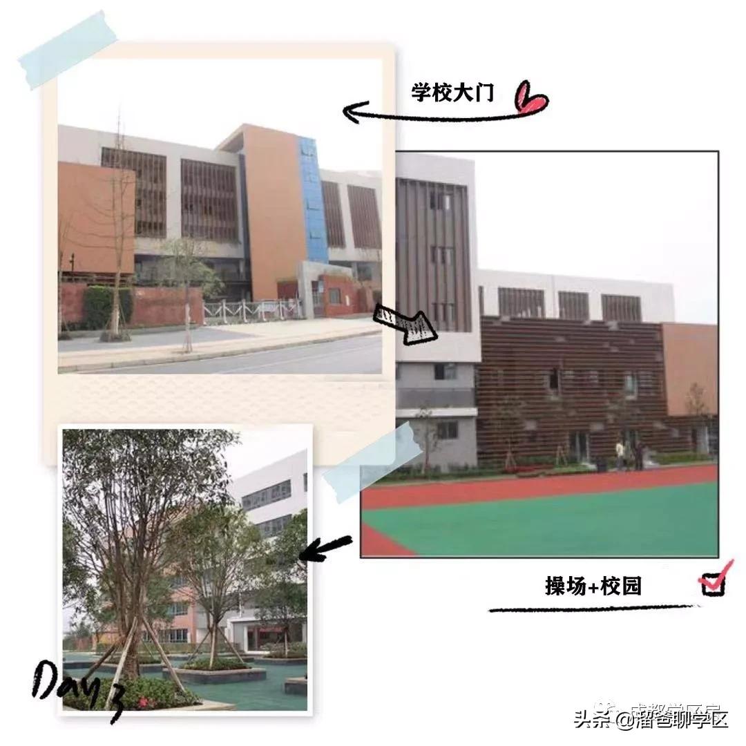 在成都有哪些好的私立学校,成都私立学校分区吗