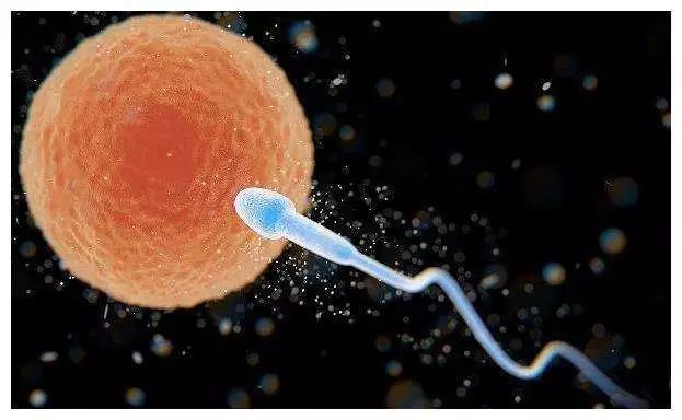 “宝贝，妈妈历经艰辛只为遇见你！”揭秘试管婴儿培育全过程