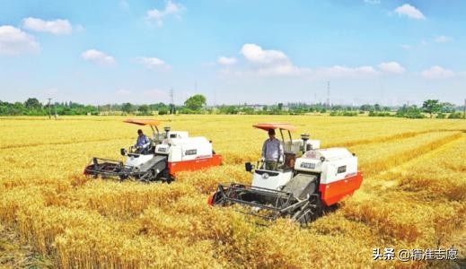 劳动经济学与经济学哪个好就业,经济学劳动经济学就业方向前景