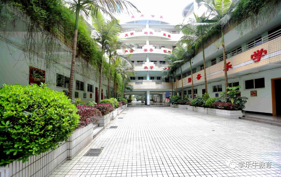 渝中区重点中学29中,重庆渝中区二十九中走读部