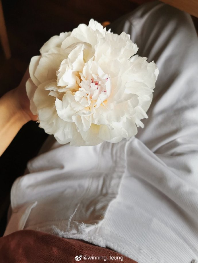 珠海香洲鲜花店,珠海鲜花超市