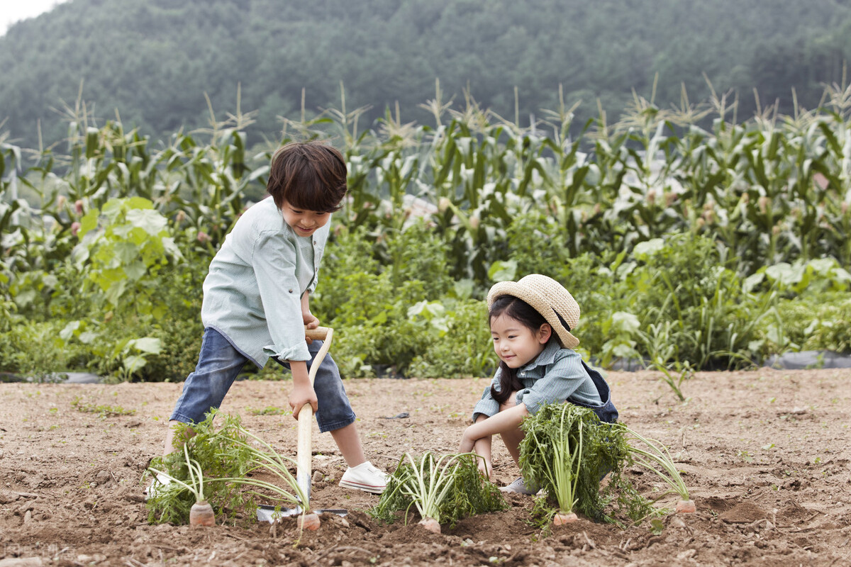 北京西城区招生入学流程,北京西城入学新政怎么理解