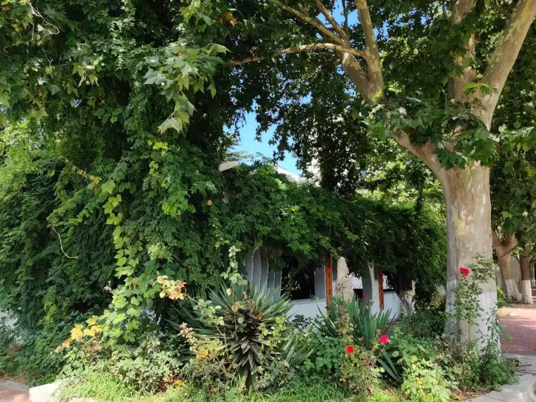 辽宁省普通高等院校大连大学,辽宁省交通高等专科学校15届