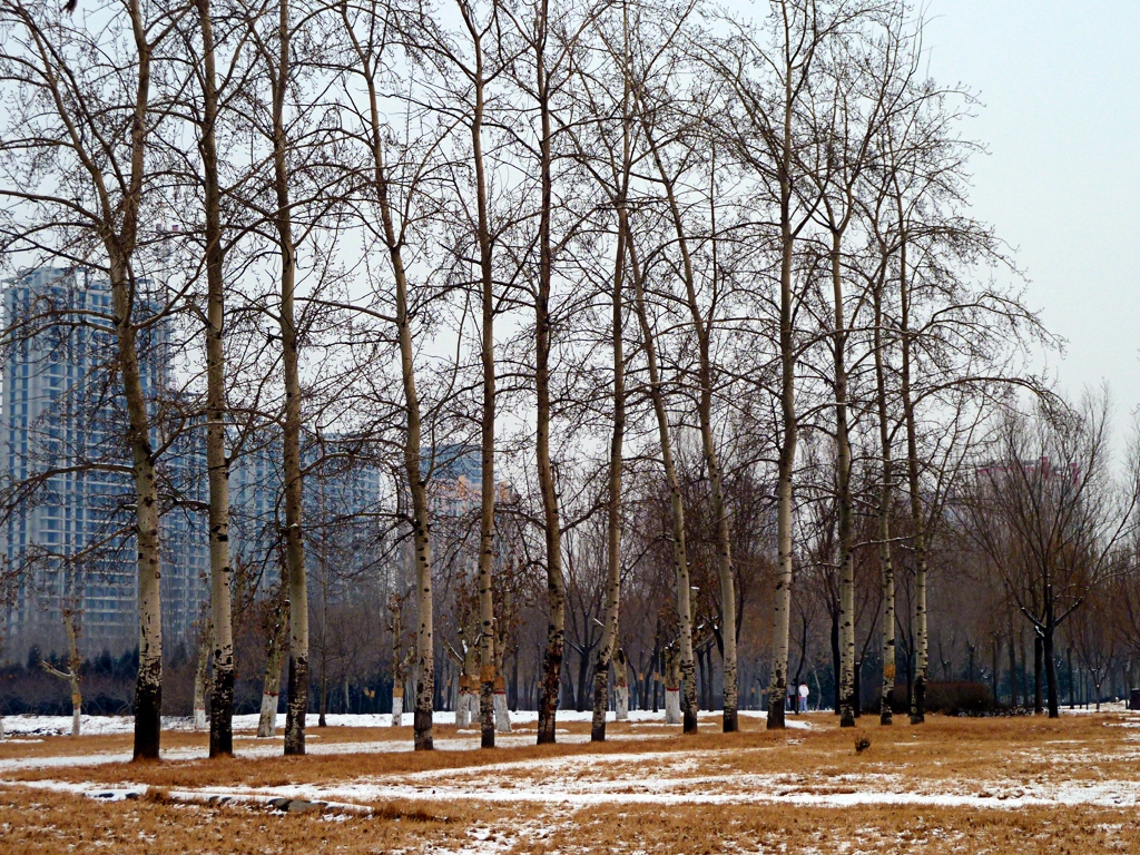 手机摄影装备推荐,川藏线户外摄影装备