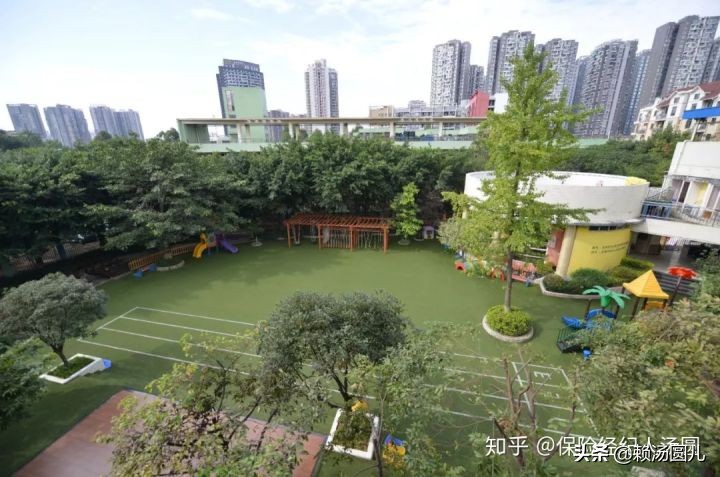 狮子山附近幼儿园有哪些,石狮狮子山幼儿园排名