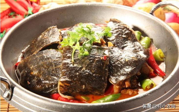 在农村创业养殖做什么生意能赚钱,返乡养殖小本创业什么项目好