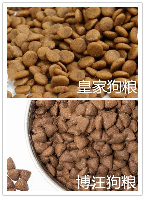 皇家狗粮跟普通狗粮对比,皇家狗粮和比乐狗粮哪个好