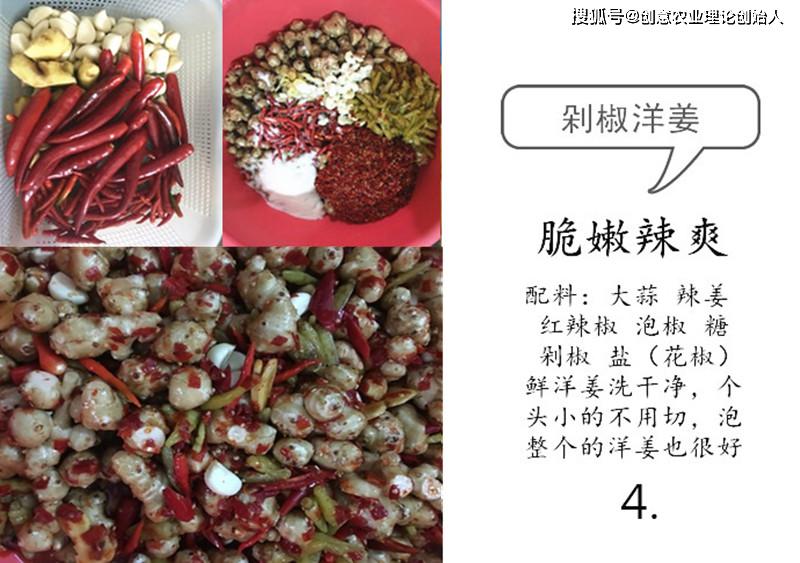 盆栽洋姜的方法,家庭种洋姜的正确方法