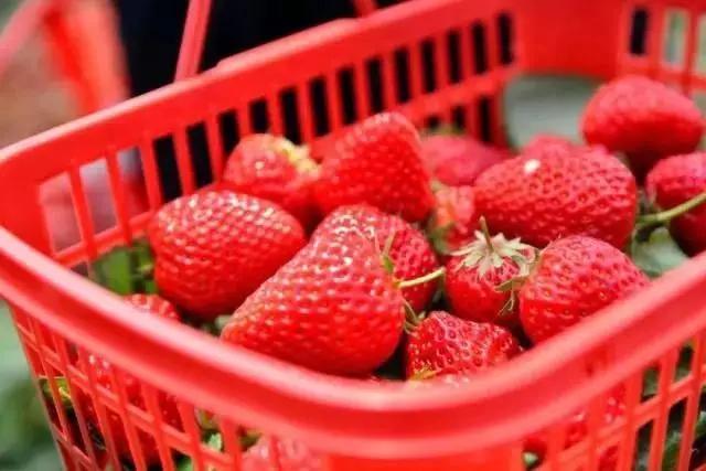 等疫情结束了一定要去西安看看,等疫情结束了一定要去趟西安