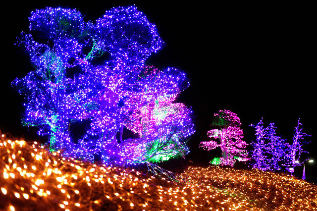 灯图片大全艺术,灯图片大全免费