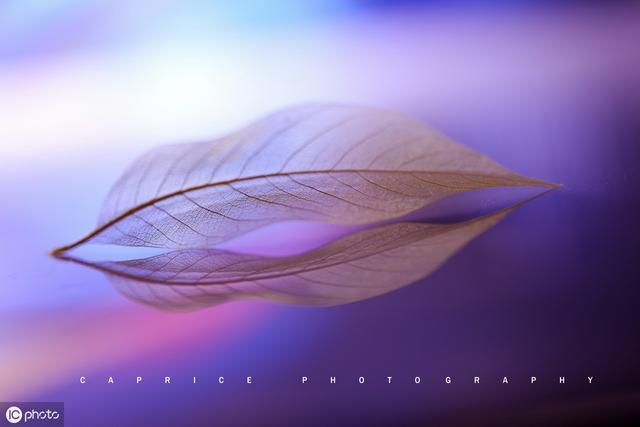 光圈与景深拍摄教程,光圈焦距与景深虚化效果