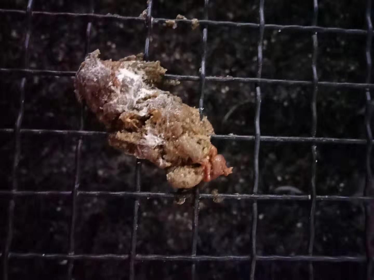 霉菌性炎症治疗经验,霉菌感染怎么治疗医问医答