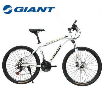 八百能买哪款自行车,自行车选购全攻略1000元左右