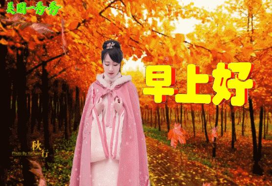 清晨祝福朋友早安愉快,早上好清晨一份祝福送给真心朋友