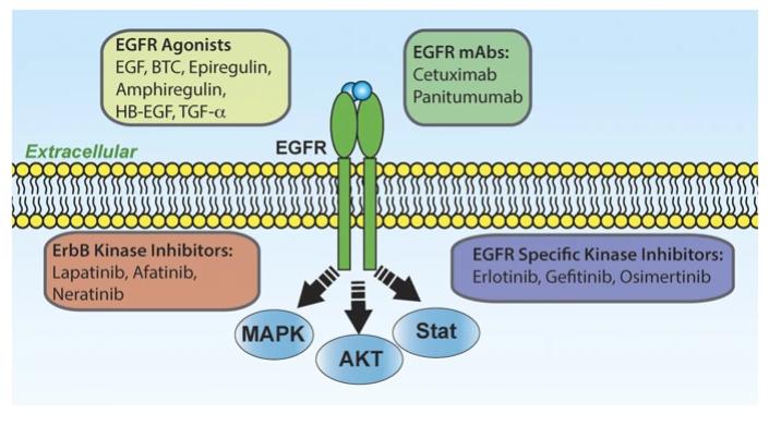 乳腺癌转移手术好还是不手术好,乳腺癌转移全切后不放疗行吗