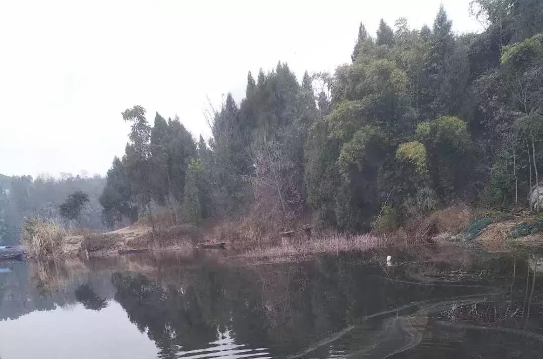仁寿黑龙滩水库最近钓鱼情况,仁寿县黑龙滩水库垂钓