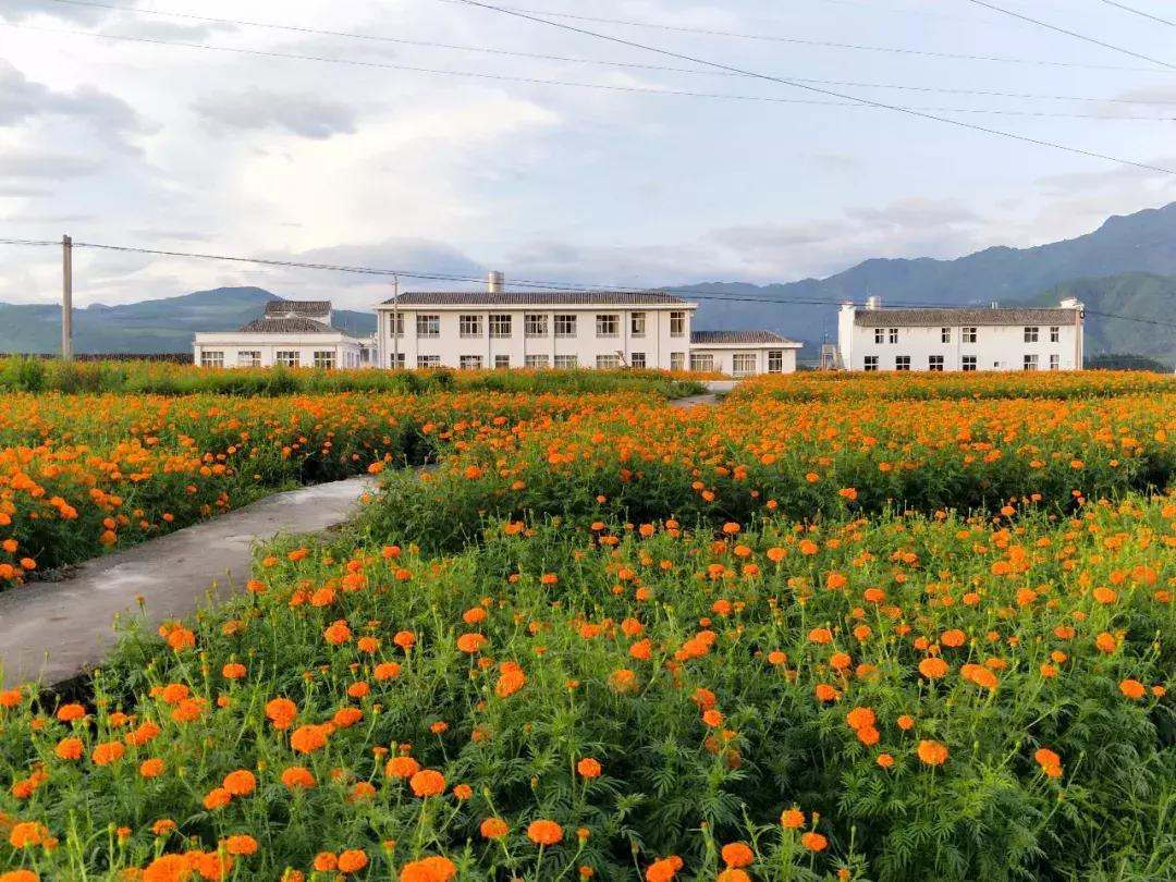 腾冲可以玩可以吃环境好的农家乐,腾冲花海美食