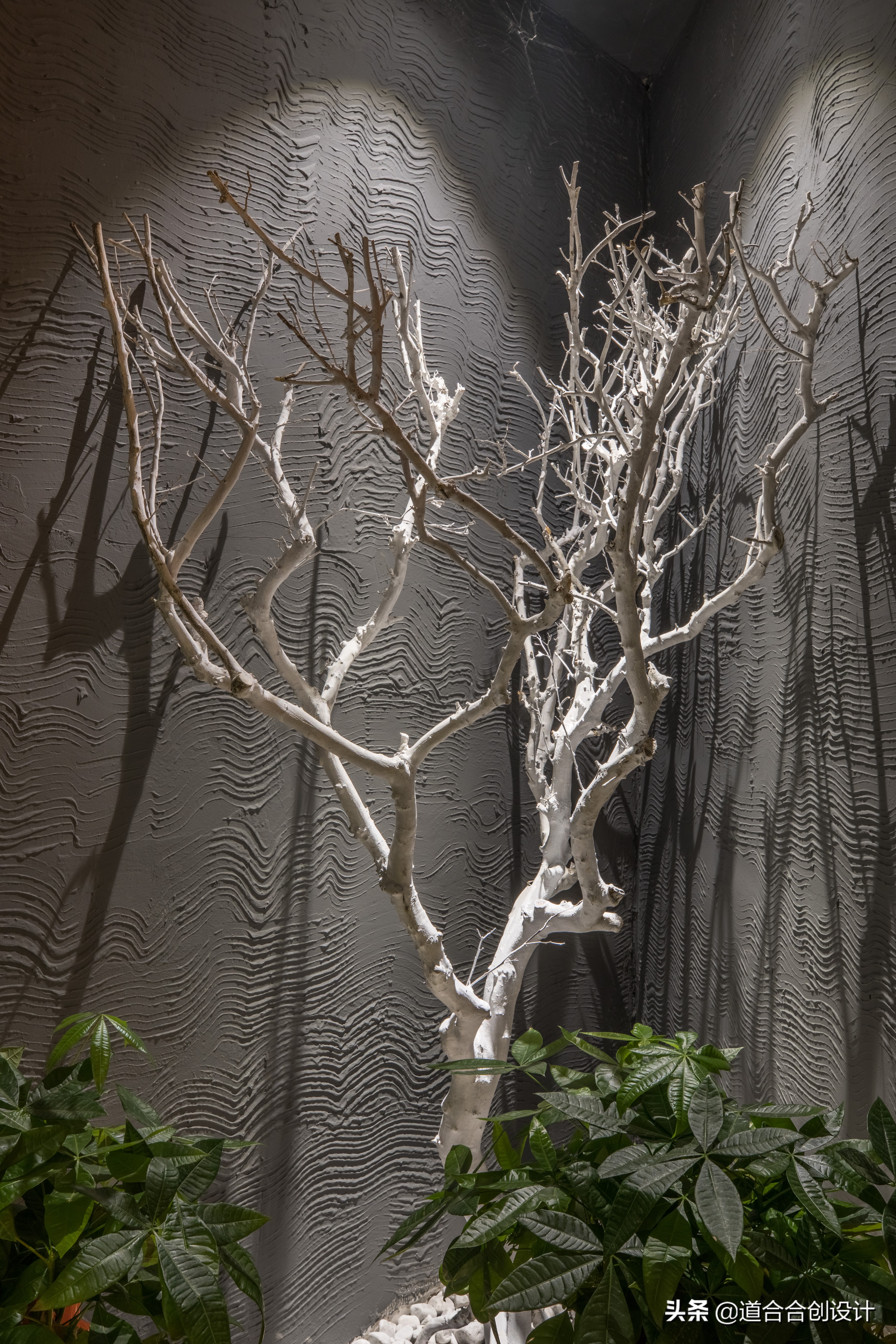 第一次跟女生见面去足浴店好吗,第一次和女孩约会去养生馆合适吗