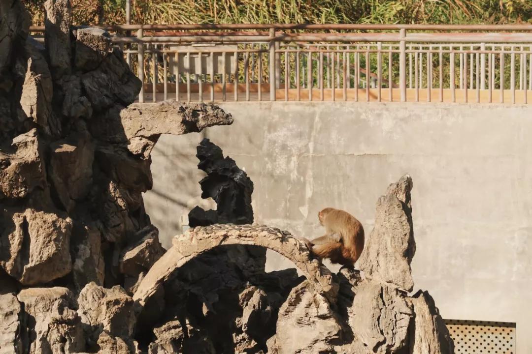 在动物园散步才是正经事|暴走福州