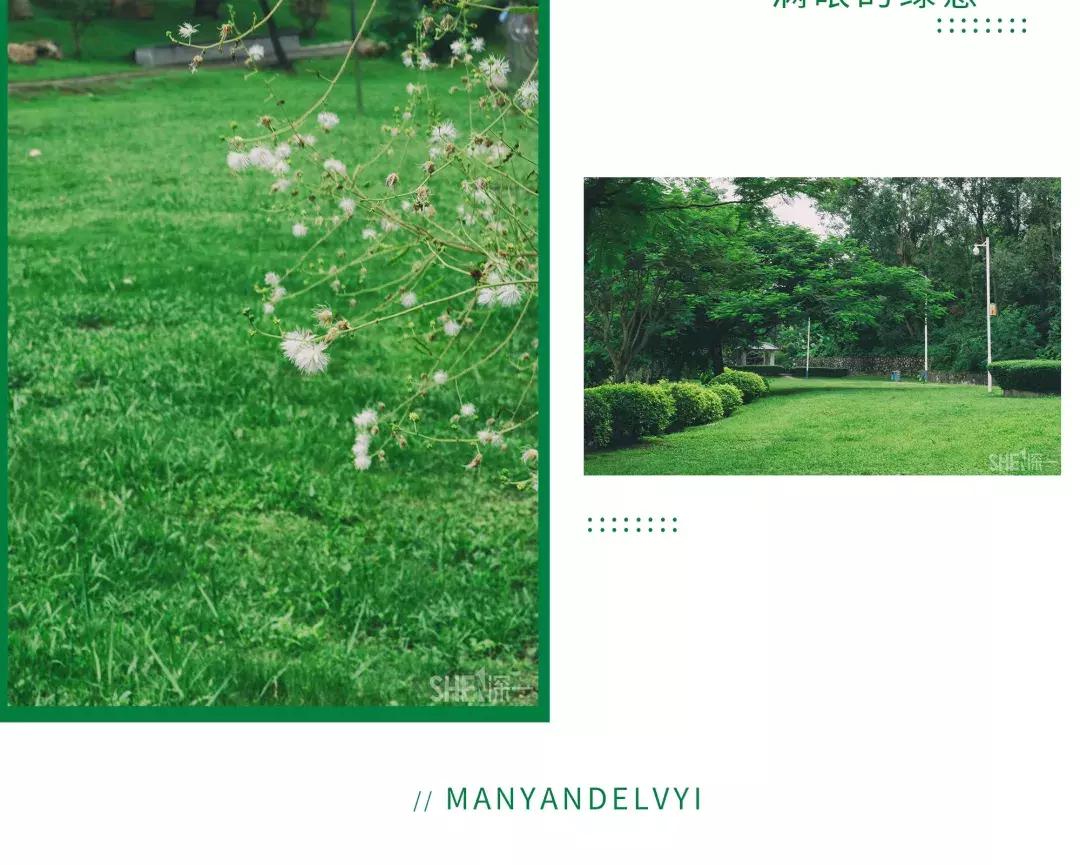 深圳市美美美,深圳最美免费水库