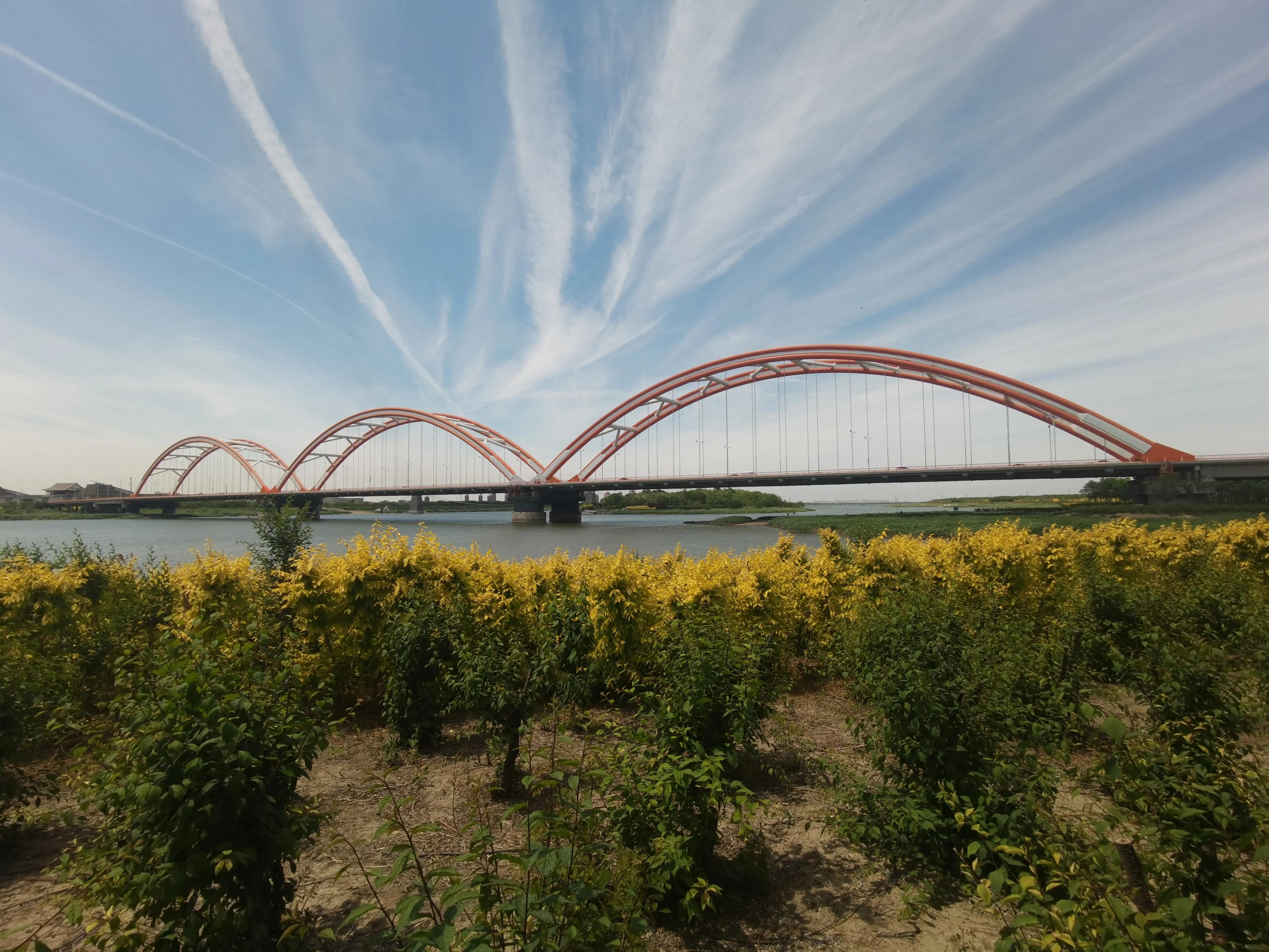 我眼中的美好城市,我眼中的城市是最美的