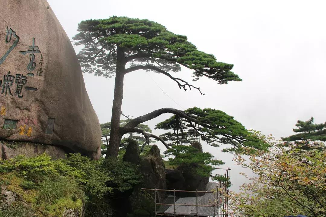 中国各省区文化符号,中国34个省的相关知识