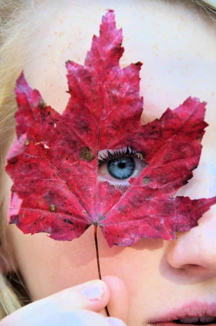 广东的秋天摄影,如何拍秋天风景照片