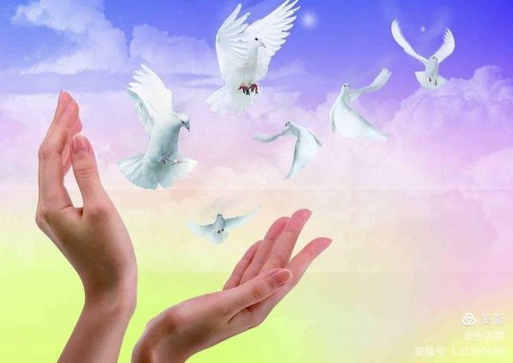 每周一荐：医院优秀报道第三十二期，健康无小事，保健重卒中