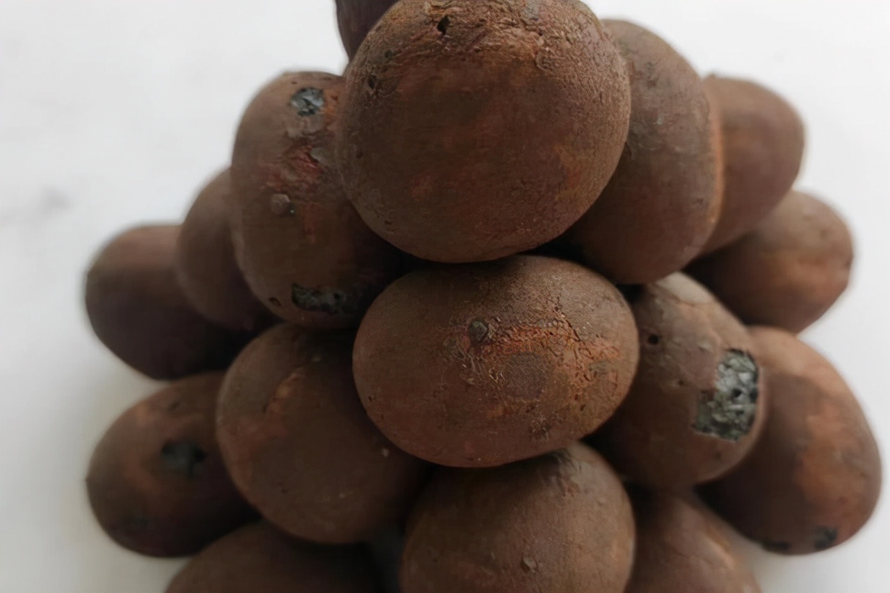 君子兰怎么才能养好根,怎样把君子兰根养好