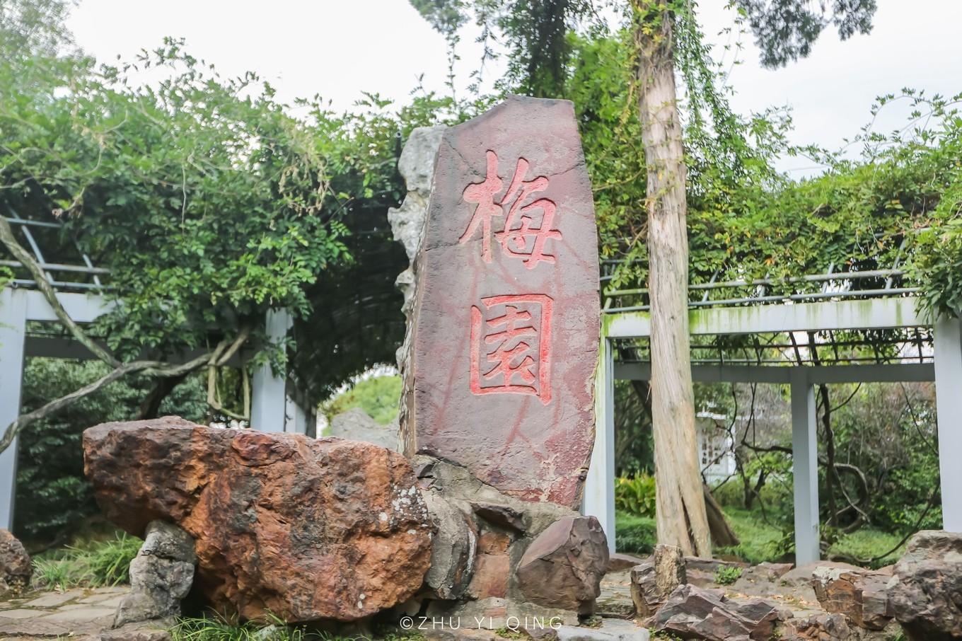 无锡梅园不只能赏梅,初秋近万亩百合花海盛放,小姐姐直呼太美了