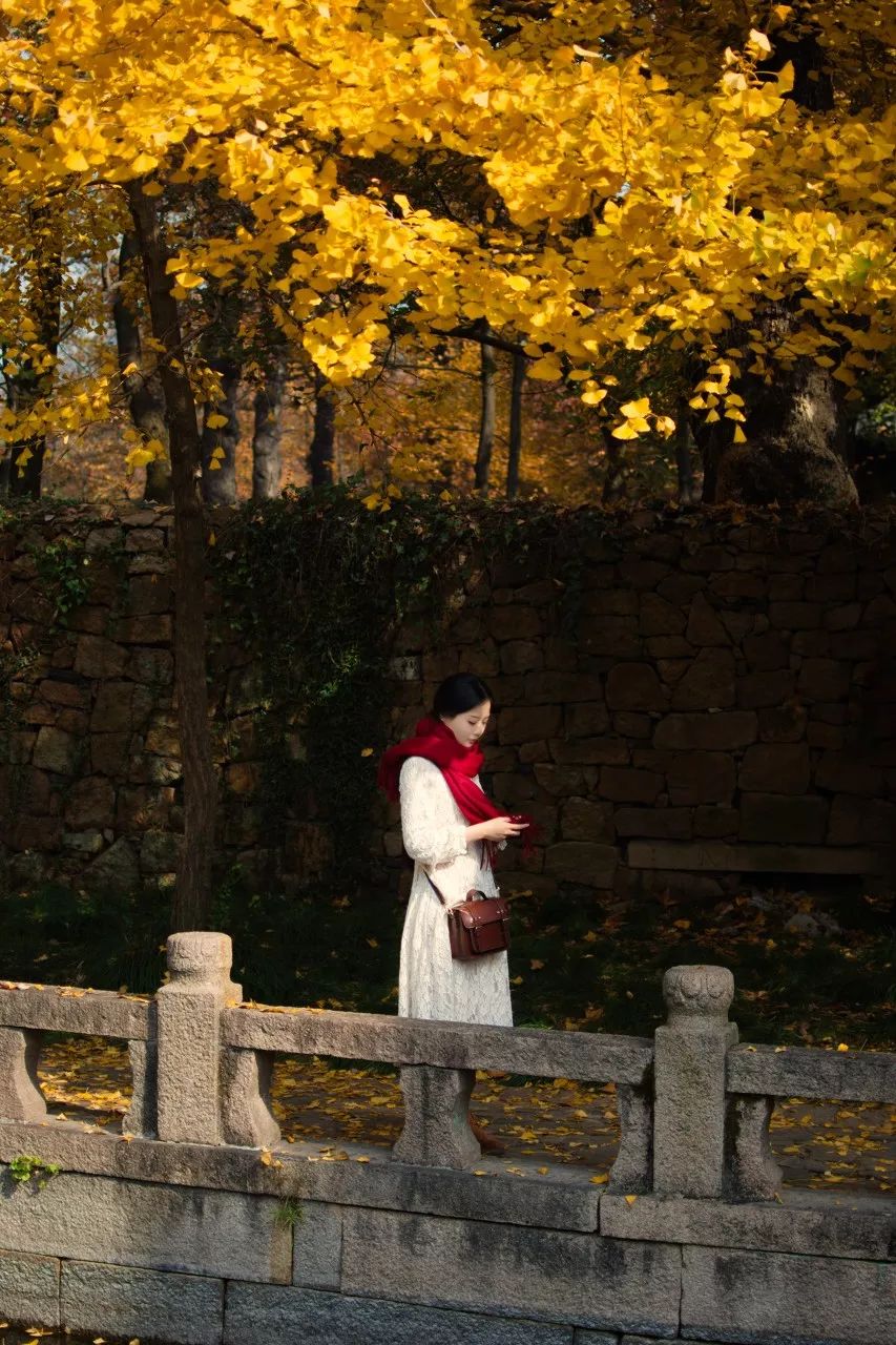 一入秋苏州成姑苏,秋色一入秋苏州就成了姑苏