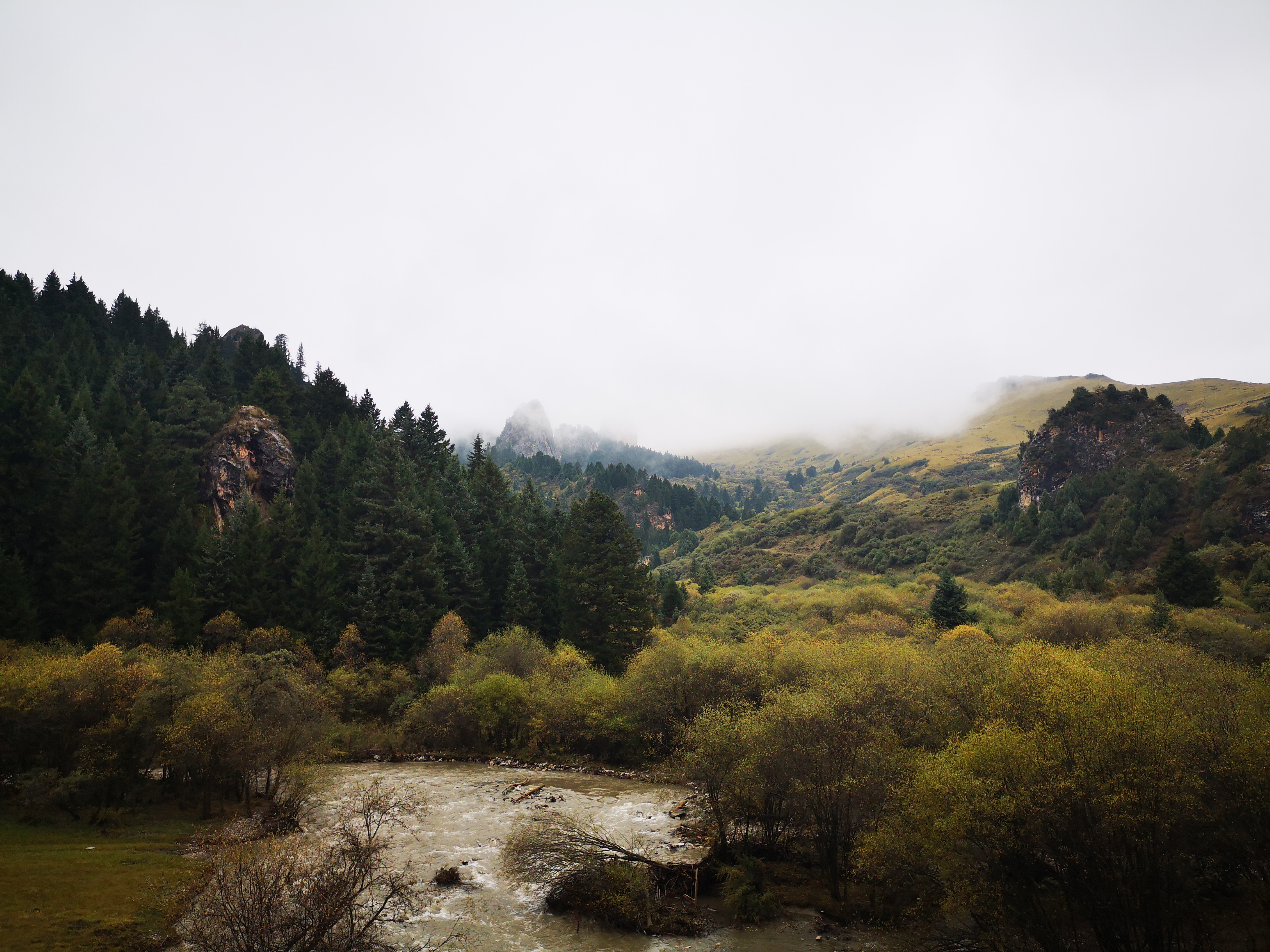 则岔石林游记,尕海湖和则岔石林