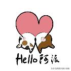 盖雪:信女愿一生荤素搭配,祈望这只拆家啊不,旺家猫找到新家