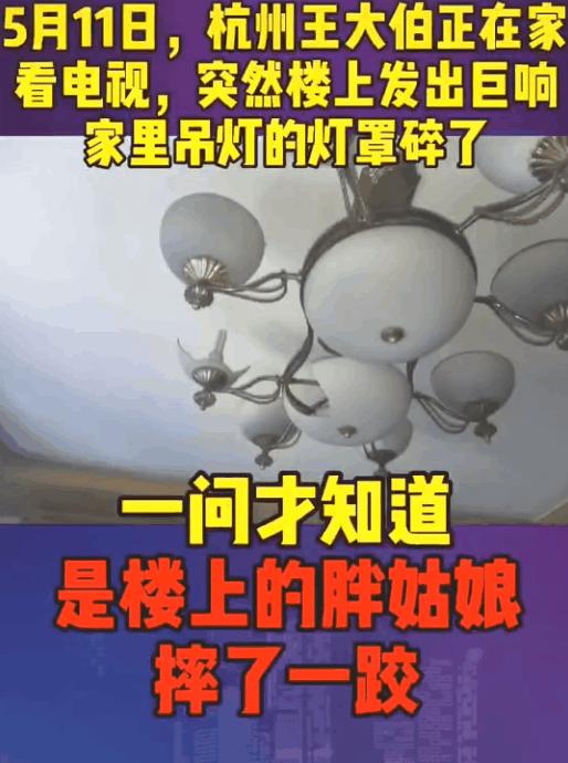 双胞胎鉴定同母异父,双胞胎鉴定同母异父视频完整版