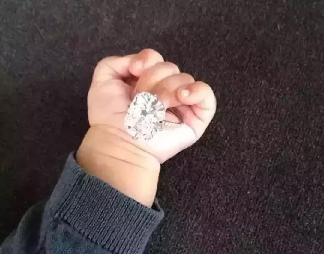 老佛爷的遗产真的由猫继承,老佛爷的所有家产最后留给了猫