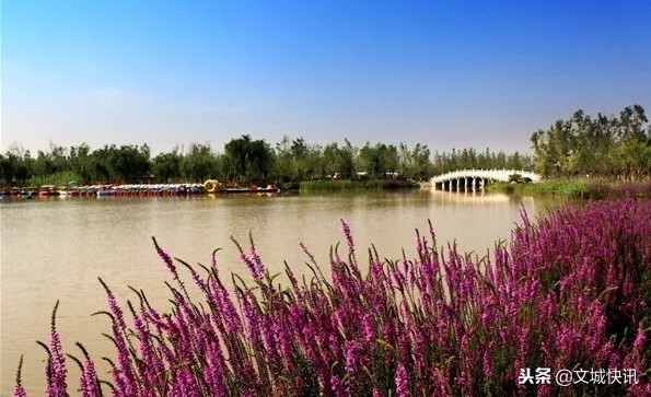 巅峰之作无与伦比,巅峰之作传世珍品