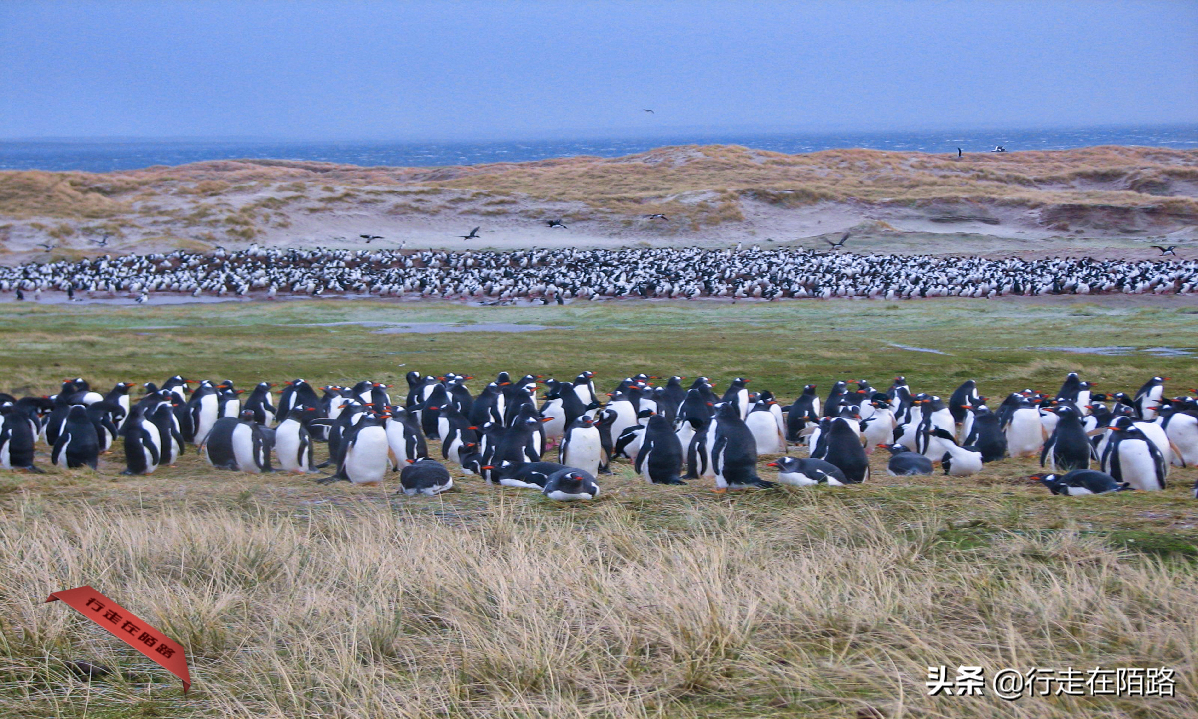 赔本战争：44艘战舰奔袭1.3万公里，耗资12亿却不是赢家