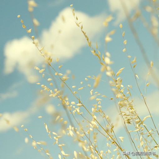 行到水穷处坐看云起王维的诗,行到水穷处坐看云起时王维的视频