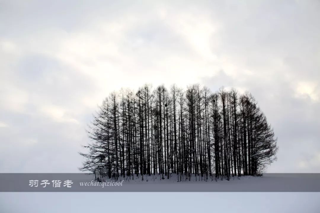 老实说，这一趟北海道就是为了拍好看的照片去的